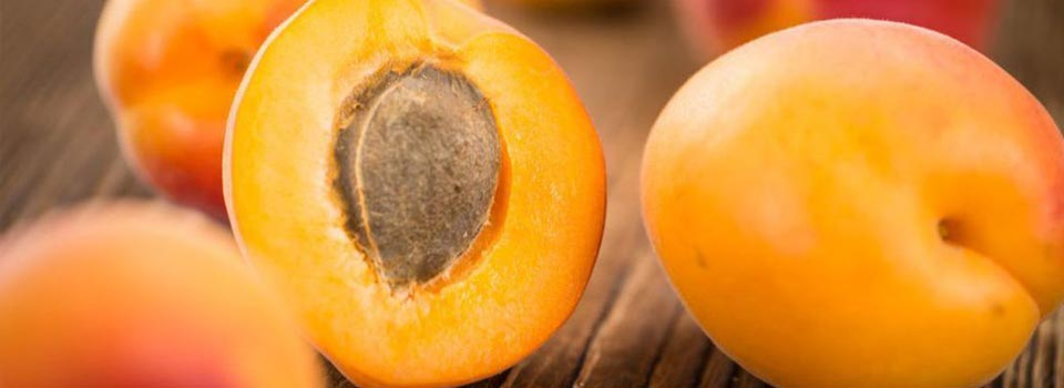 Sárgabarackos finomságok a Jófalattól – egészséges étel házhozszállítással!