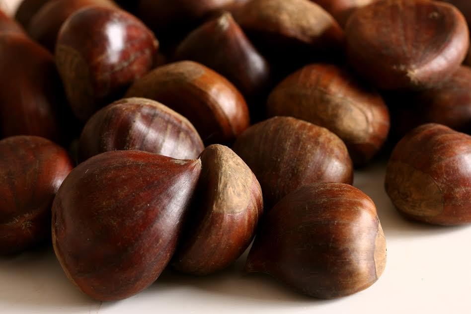 Az értékes rostokat hordozó gesztenye Az értékes rostokat hordozó gesztenye