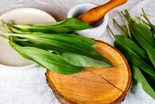 medvehagyma, a tavasz hírnöke